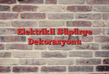Elektrikli Süpürge Dekorasyonu