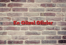 En Güzel Ofisler