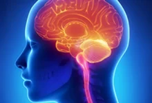 İnsanların Beş Değil, 33 Duyusu Olabilir