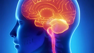 İnsanların Beş Değil, 33 Duyusu Olabilir