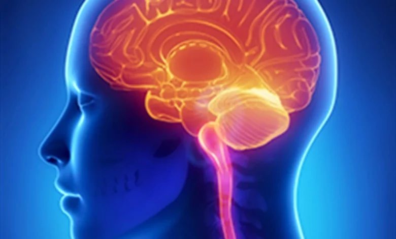 İnsanların Beş Değil, 33 Duyusu Olabilir