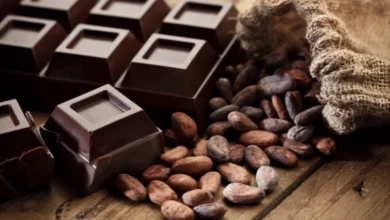 Bitter Çikolata Yaşlanmayı Yavaşlatabilir