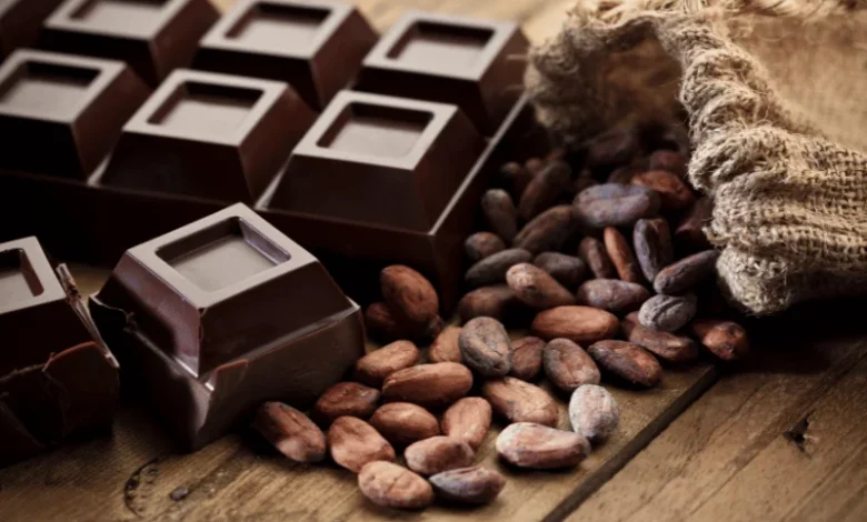 Bitter Çikolata Yaşlanmayı Yavaşlatabilir