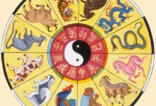 Çin Astrolojisi Nedir?
