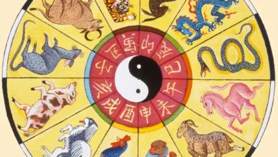 Çin Astrolojisi Nedir?
