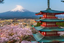 Tokyo’dan Kyoto’ya Baştan Sona Japonya Gezi Rehberi