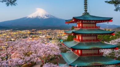 Tokyo’dan Kyoto’ya Baştan Sona Japonya Gezi Rehberi