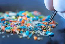 Mikroplastikler Atardamarları Tıkıyor Olabilir