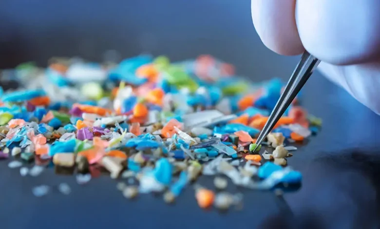 Mikroplastikler Atardamarları Tıkıyor Olabilir