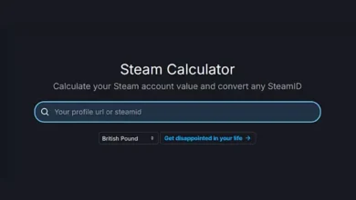 Steam Hesabınızın Gerçek Değerini Hesaplayın