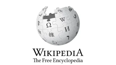 Xikipedia nedir