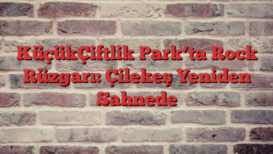 KüçükÇiftlik Park’ta Rock Rüzgarı: Çilekeş Yeniden Sahnede
