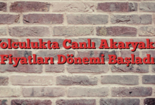 Yolculukta Canlı Akaryakıt Fiyatları Dönemi Başladı